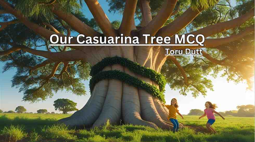 Our Casuarina Tree MCQ Question Answer for 3rd Semester Class 12