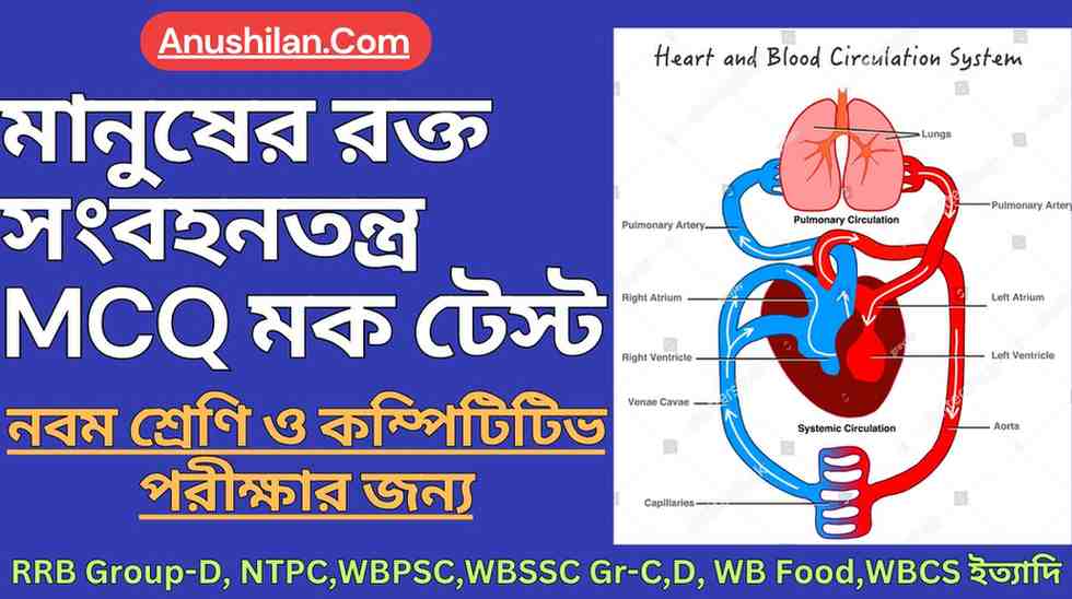 মানুষের রক্ত সংবহনতন্ত্র MCQ মক টেস্ট Human Blood Circulatory System MCQ Question Answer