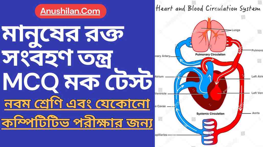 মানুষের রক্ত সংবহনতন্ত্র MCQ মক টেস্ট
 Blood Circulatory System in Human MCQ in Bengali